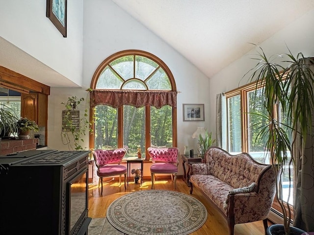 233 Old Wendell Rd, Northfield, MA 01360 - living area featuring wood finished floors and high vaulted ceiling