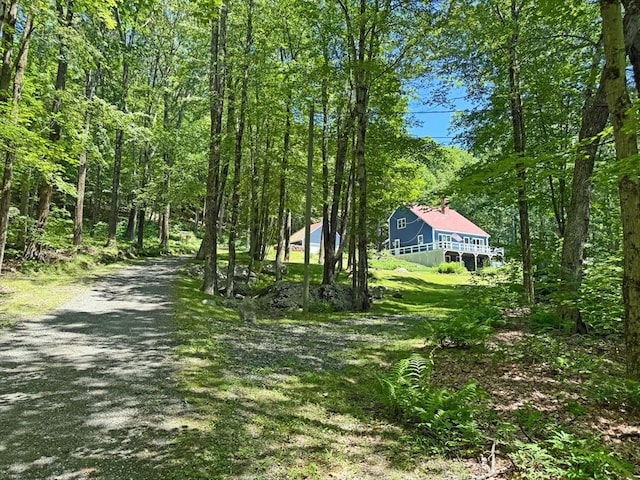 233 Old Wendell Rd, Northfield, MA 01360 - view of yard with a wooded view