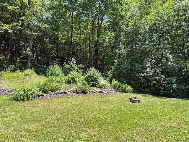 233 Old Wendell Rd, Northfield, MA 01360 - view of grassy yard