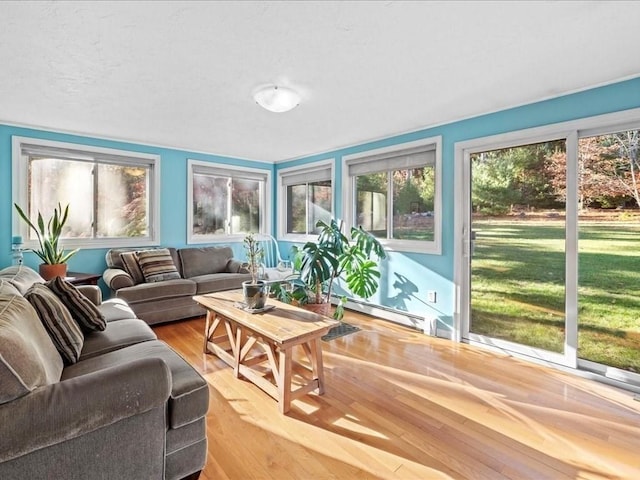 living room featuring light wood-type flooring