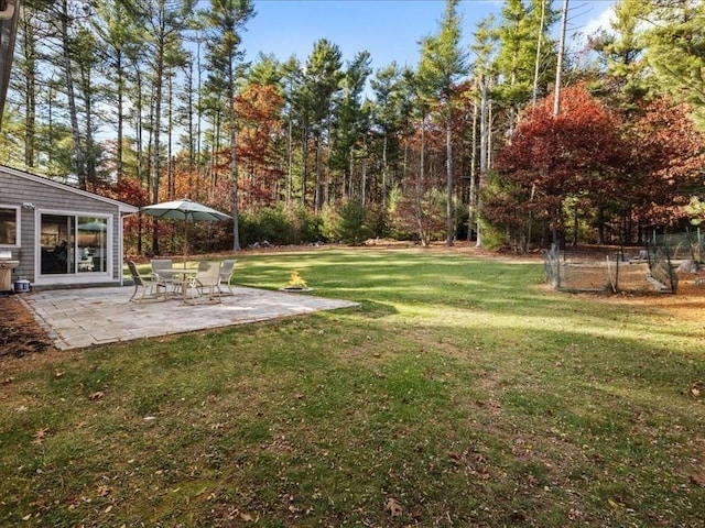 view of yard featuring a patio