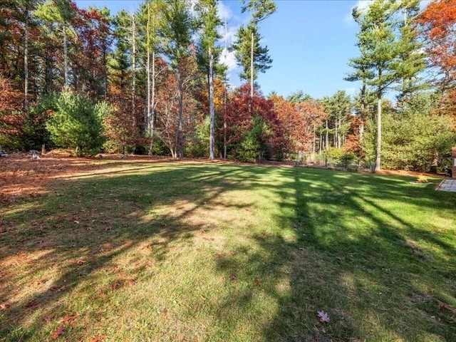 view of yard featuring a wooded view