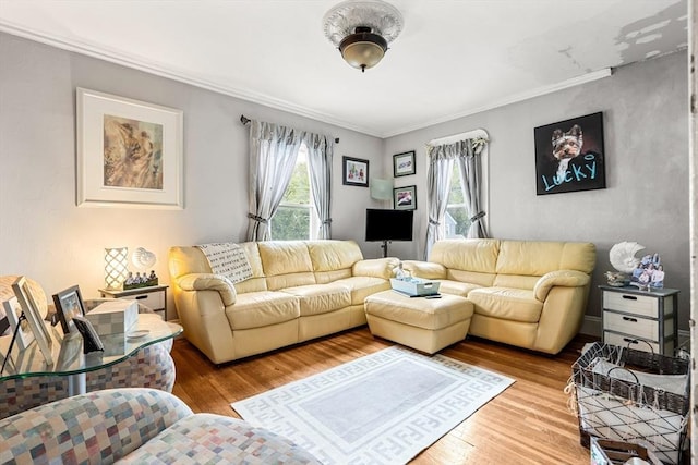 living area featuring wood finished floors and ornamental molding