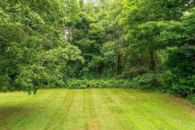 79 Chapel St, Gardner, MA 01440 - view of green lawn with a wooded view