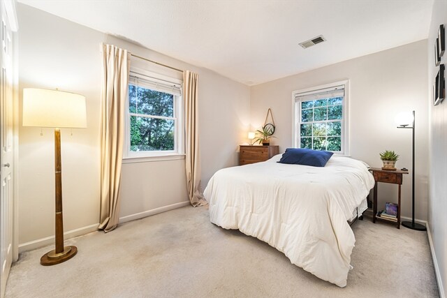 carpeted bedroom featuring multiple windows