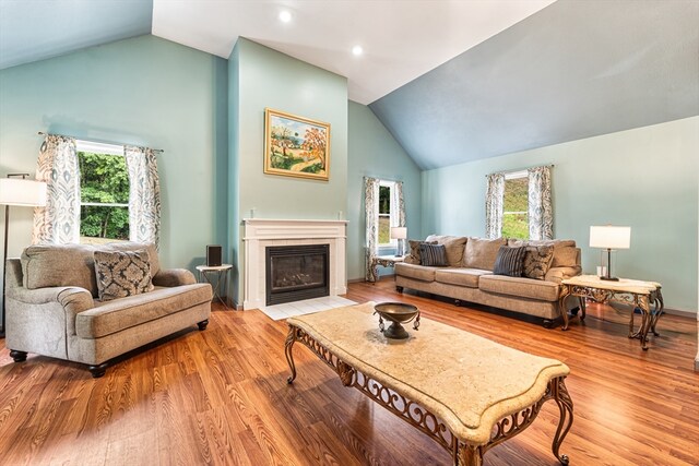 living room with light hardwood / wood-style flooring and high vaulted ceiling