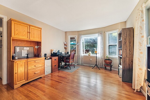 office with light wood-type flooring