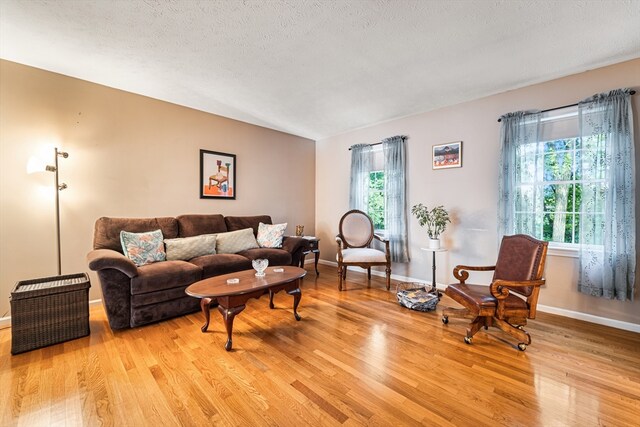 living room featuring light hardwood / wood-style flooring and a textured ceiling