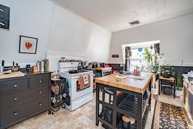 kitchen with electric range and dark brown cabinetry