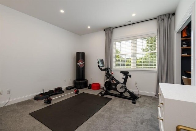 16 Border Rd, Reading, MA 01867 - exercise room with carpet flooring and recessed lighting