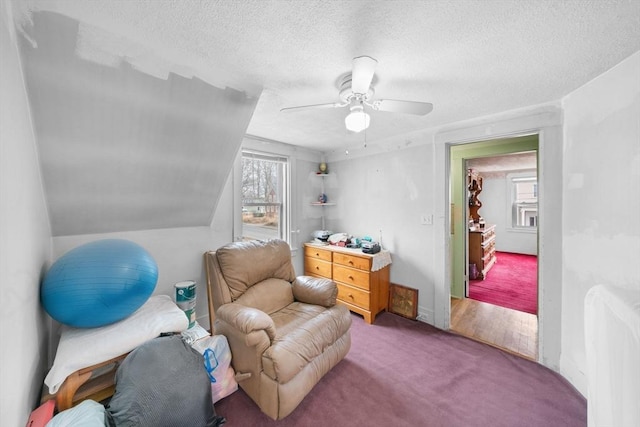 living area featuring a healthy amount of sunlight, ceiling fan, carpet floors, and a textured ceiling