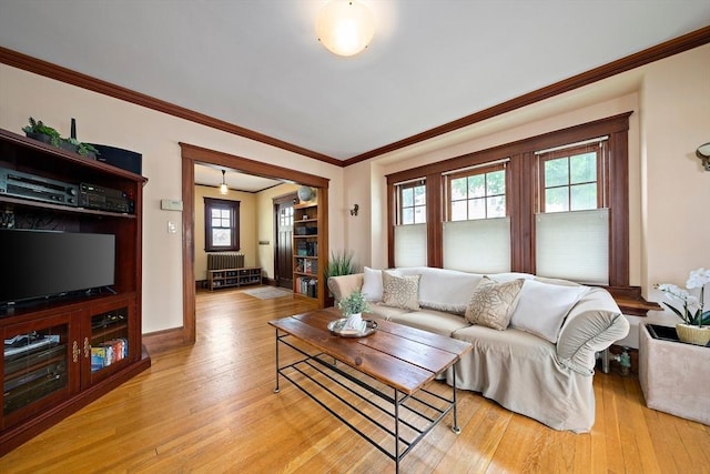 149 Milton Ave, Boston, MA 02124 - living area featuring light wood finished floors, crown molding, and baseboards