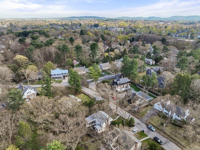 drone / aerial view