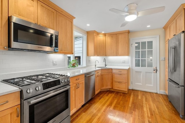 kitchen with ceiling fan, appliances with stainless steel finishes, light wood-type flooring, a sink, and light countertops