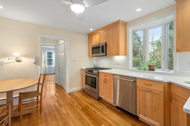 kitchen featuring light wood-style floors, light countertops, a wealth of natural light, and stainless steel appliances