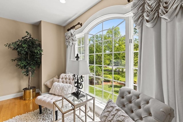8 Riverside Ter, Easton, MA 02356 - living area featuring plenty of natural light, wood finished floors, and baseboards