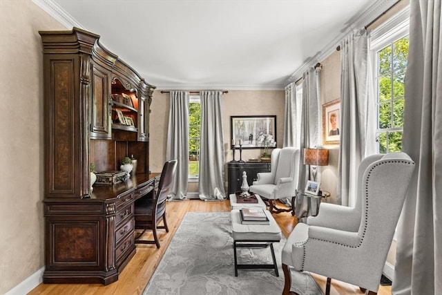8 Riverside Ter, Easton, MA 02356 - office area with light wood-style floors, crown molding, and baseboards