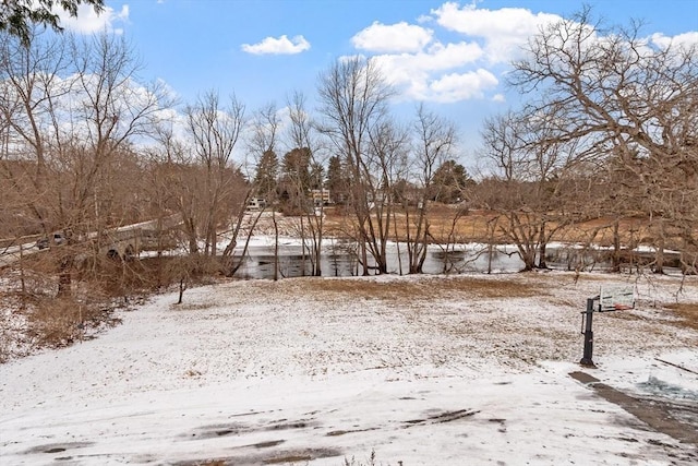 view of yard layered in snow