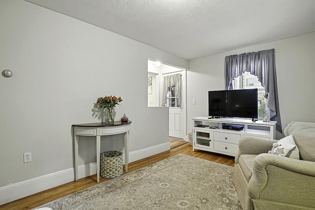 13 Delaval Rd, Worcester, MA 01606 - living room featuring wood finished floors and baseboards