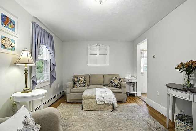 13 Delaval Rd, Worcester, MA 01606 - living room featuring plenty of natural light, wood finished floors, baseboards, and a baseboard radiator