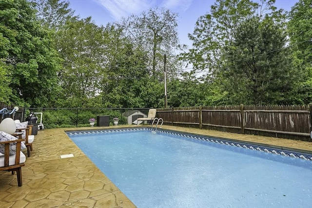 13 Delaval Rd, Worcester, MA 01606 - view of swimming pool with a fenced backyard, view of scattered trees, and a patio area