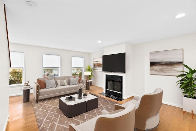 living room with wood-type flooring