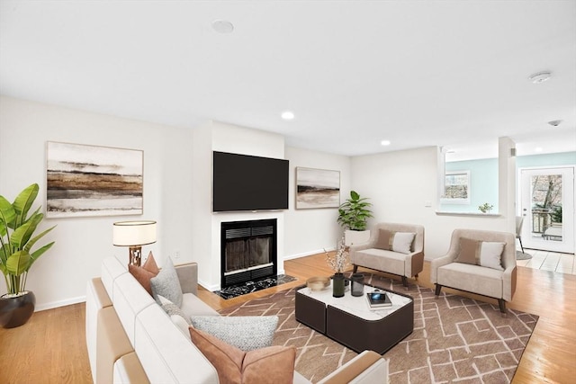 living room featuring wood-type flooring