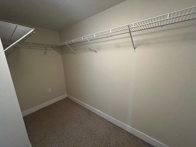 321 Hammond Pond Pkwy Unit U301, Brookline, MA 02467 - spacious closet featuring carpet