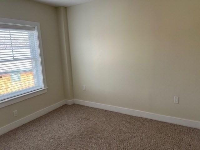 321 Hammond Pond Pkwy Unit U301, Brookline, MA 02467 - unfurnished room featuring light colored carpet, healthy amount of natural light, and baseboards