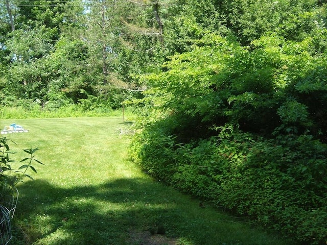 16 Heather Ln Unit 16, Bridgewater, MA 02324 - view of grassy yard with a view of trees
