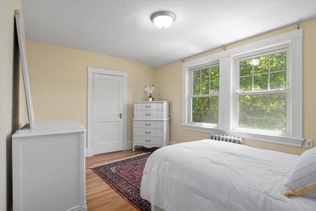 127 Mutton Ln, Weymouth, MA 02189 - bedroom featuring wood finished floors and radiator heating unit