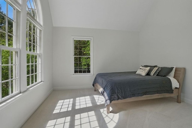 11 Edge Hill Rd, Hopkinton, MA 01748 - bedroom with carpet flooring, baseboards, and vaulted ceiling