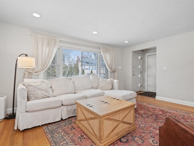 living room featuring wood-type flooring