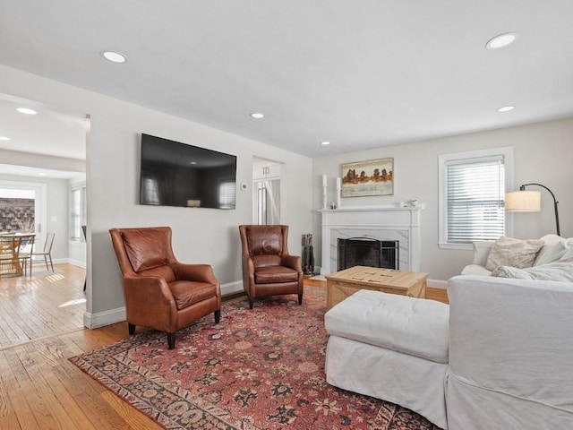 living room featuring a fireplace and wood-type flooring