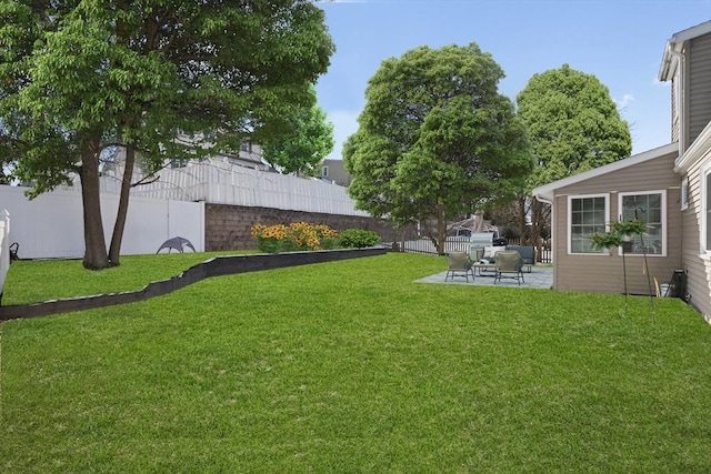 view of yard featuring a patio