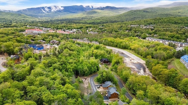 56 Friendship, Lincoln, NH 03251