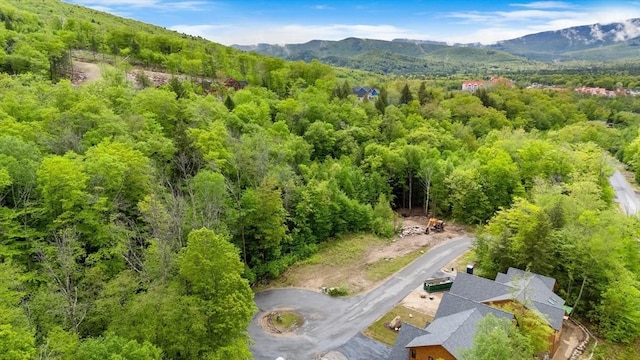 56 Friendship, Lincoln, NH 03251