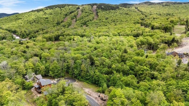 56 Friendship, Lincoln, NH 03251