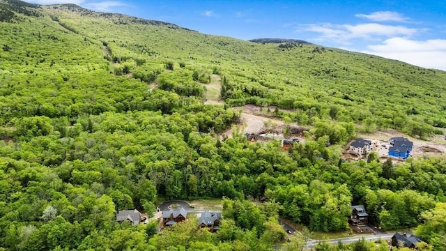 56 Friendship, Lincoln, NH 03251