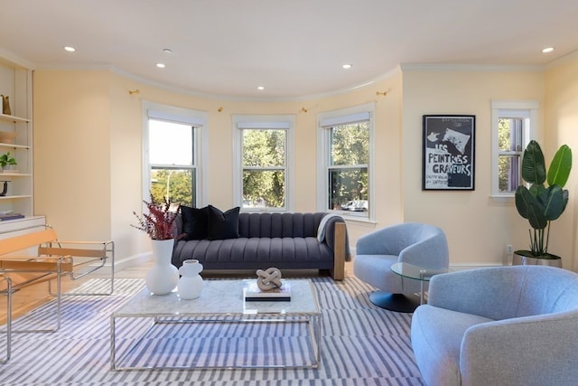 living room with crown molding and wood-type flooring