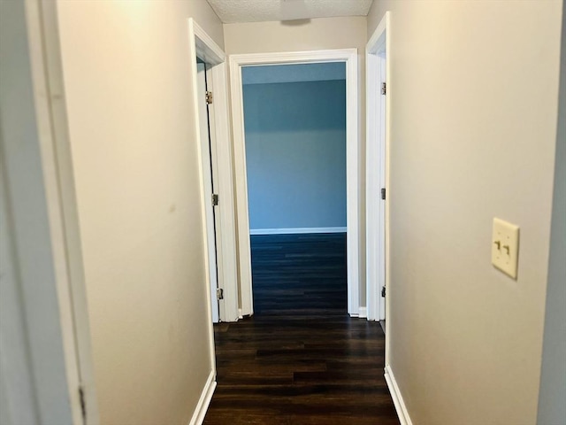 10 Longworth Ave Unit 12, Brockton, MA 02301 - hallway with dark wood finished floors and baseboards