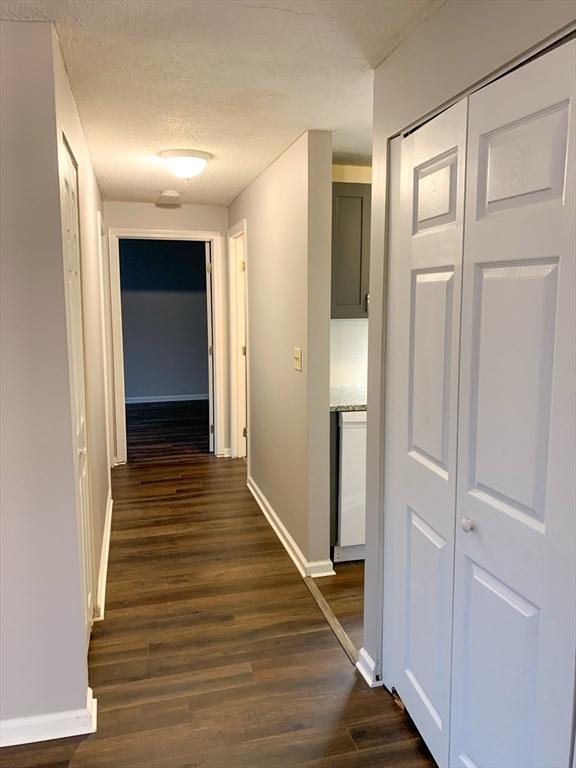 10 Longworth Ave Unit 12, Brockton, MA 02301 - hall with baseboards, dark wood-style flooring, and a textured ceiling