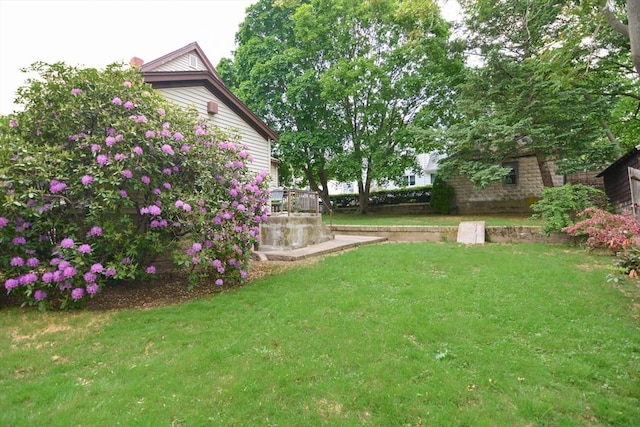 886 Canterbury St, Boston, MA 02131 - view of green lawn