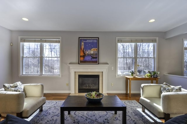 living area featuring a glass covered fireplace, baseboards, and wood finished floors