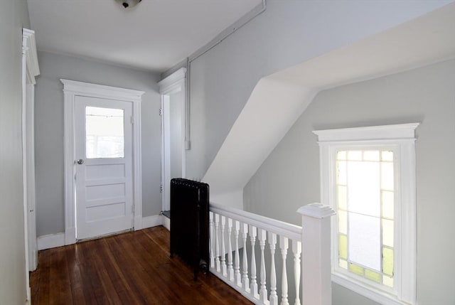 entrance foyer featuring vaulted ceiling, dark hardwood / wood-style floors, and plenty of natural light