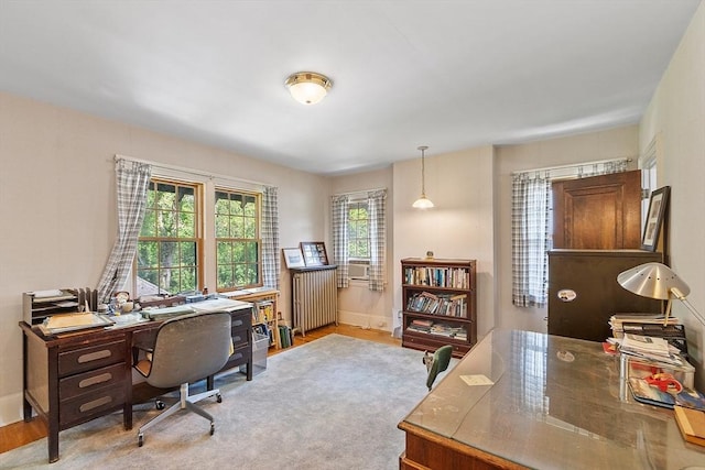 298 Highland St, Worcester, MA 01602 - office space featuring radiator heating unit, baseboards, cooling unit, and light wood-type flooring