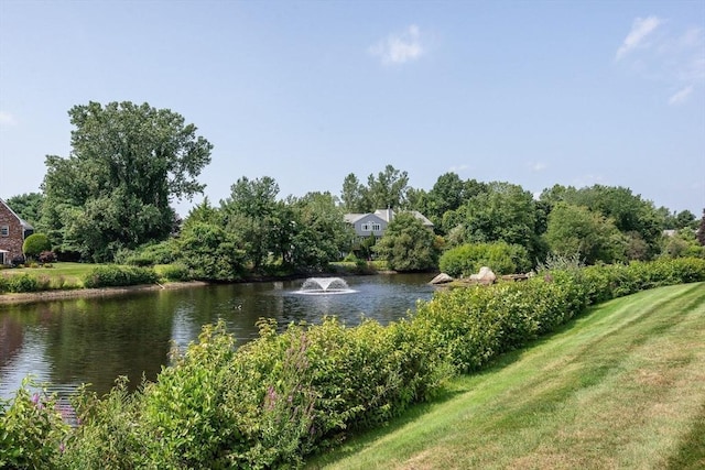 property view of water