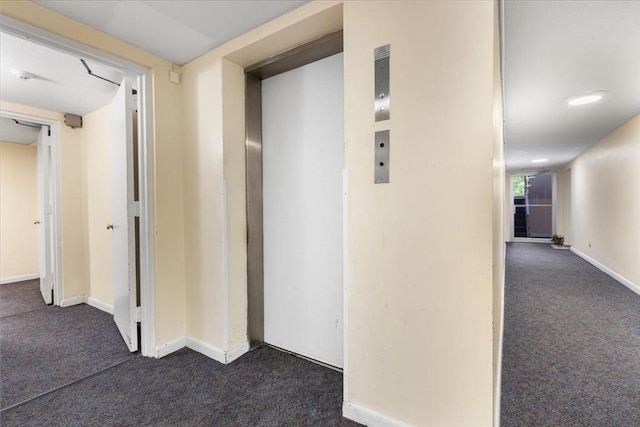 4925 Washington St Unit 304, Boston, MA 02132 - hall with dark carpet and elevator