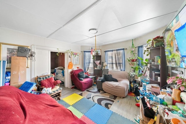 playroom with wood-type flooring