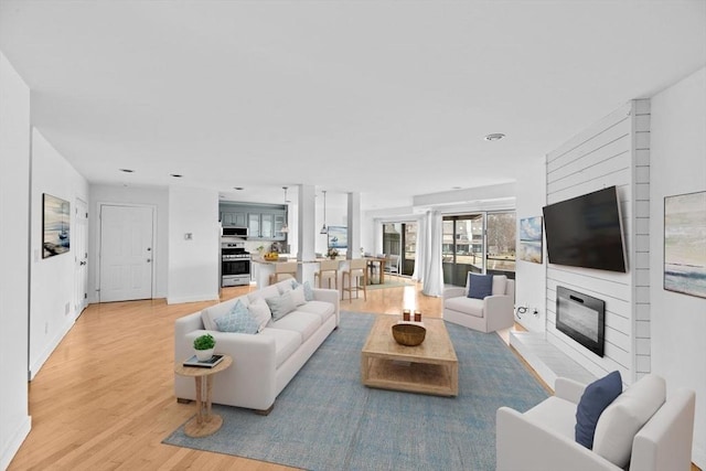 living room with light wood-type flooring